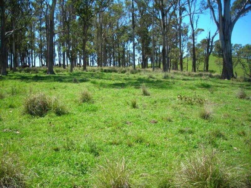 Belbora NSW 2422
