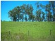 Belbora NSW 2422