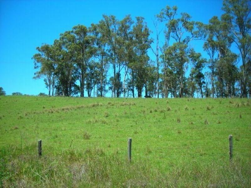 Belbora NSW 2422