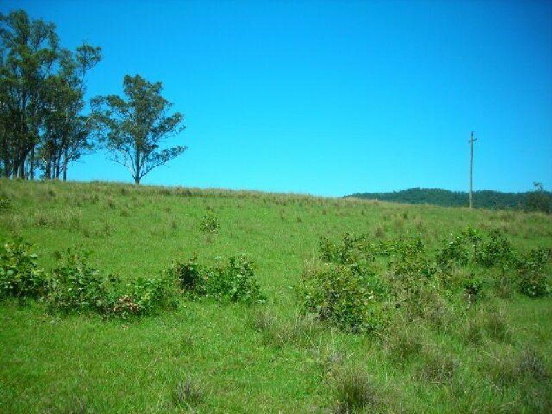 Belbora NSW 2422