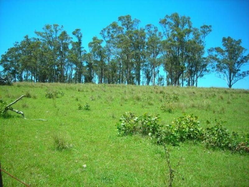 Belbora NSW 2422