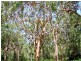 186 Beach Road, Taree NSW 2430