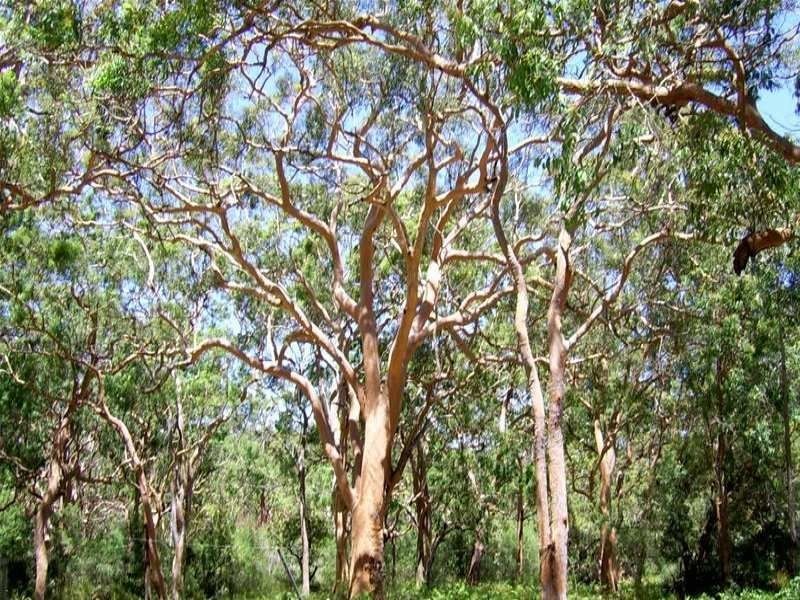 186 Beach Road, Taree NSW 2430