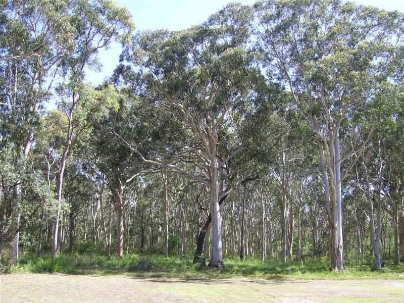 186 Beach Road, Taree NSW 2430