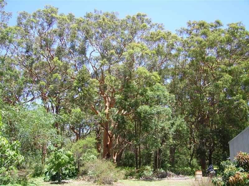 186 Beach Road, Taree NSW 2430