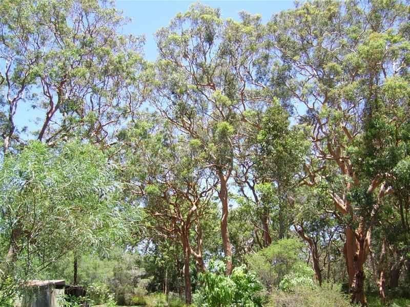 186 Beach Road, Taree NSW 2430