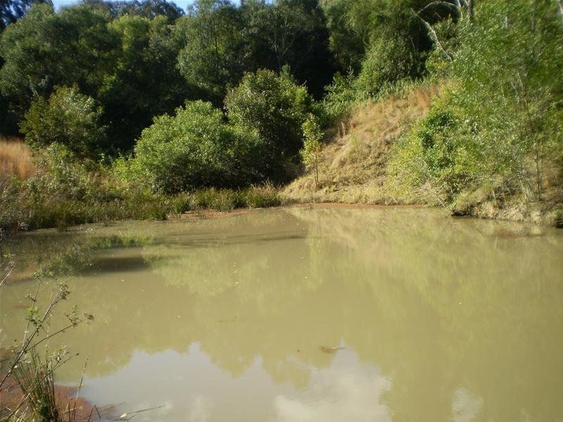 Strathcedar NSW 2429
