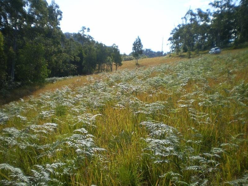 Strathcedar NSW 2429