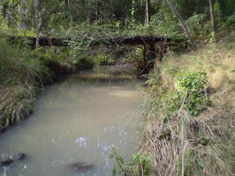 Strathcedar NSW 2429