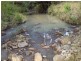 Strathcedar NSW 2429
