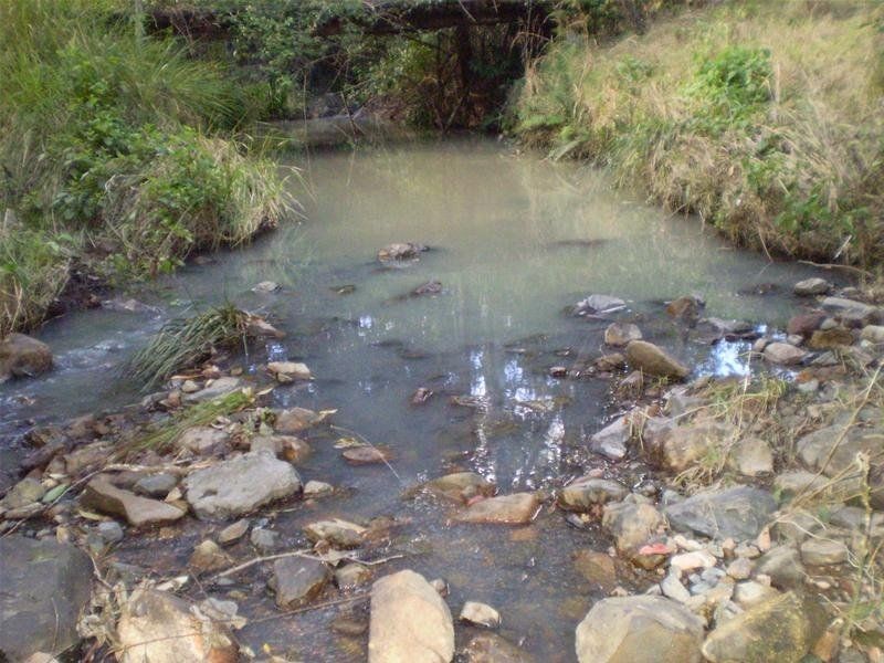 Strathcedar NSW 2429