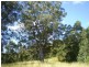 Strathcedar NSW 2429