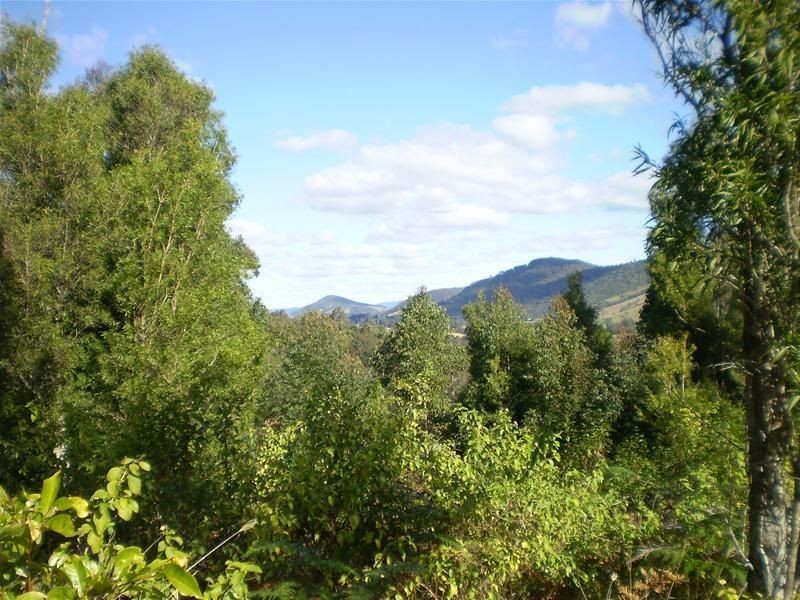 Strathcedar NSW 2429