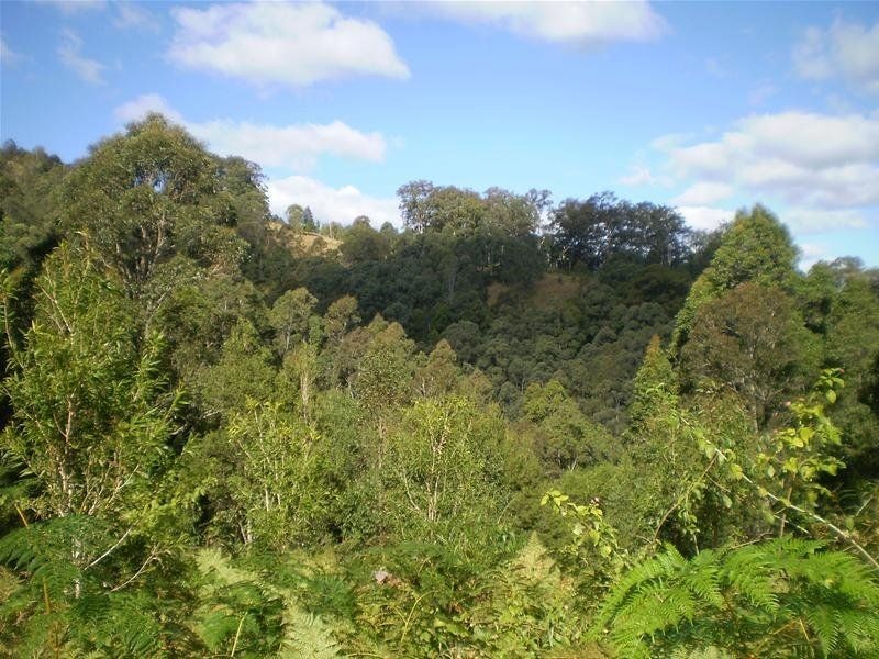 Strathcedar NSW 2429