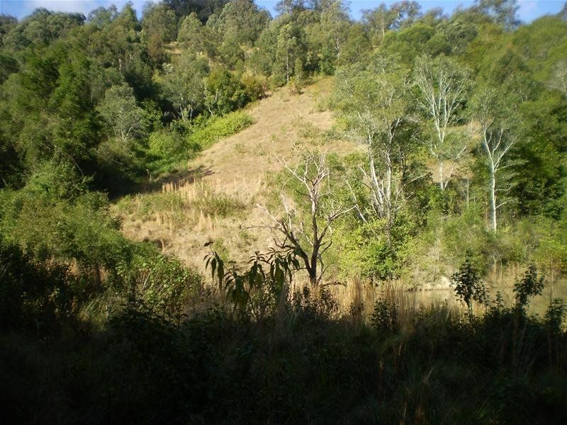 Strathcedar NSW 2429