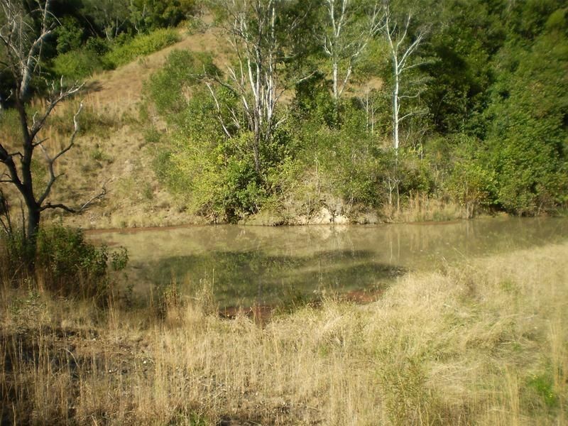 Strathcedar NSW 2429