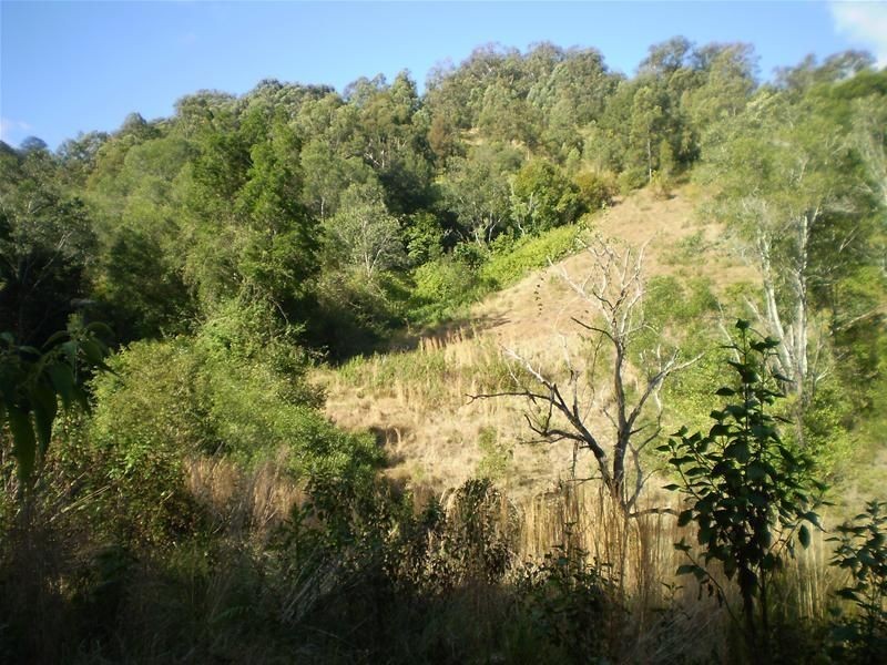 Strathcedar NSW 2429
