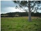 Firefly NSW 2429