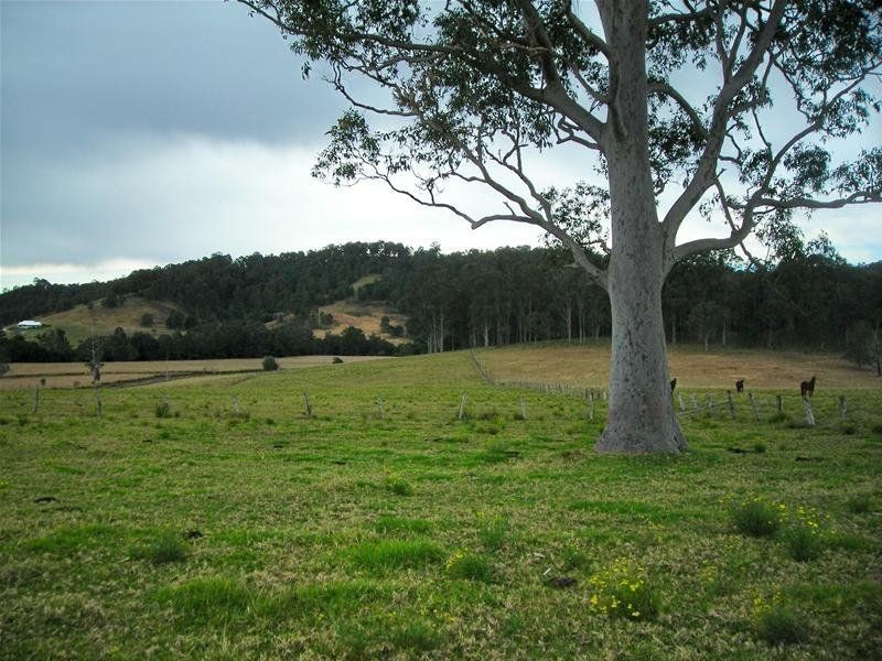 Firefly NSW 2429