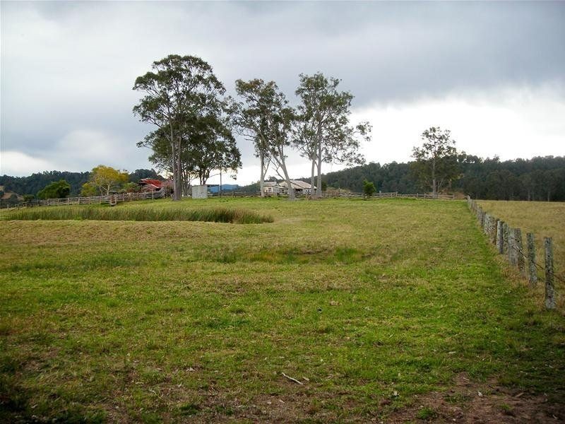 Firefly NSW 2429
