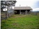Firefly NSW 2429