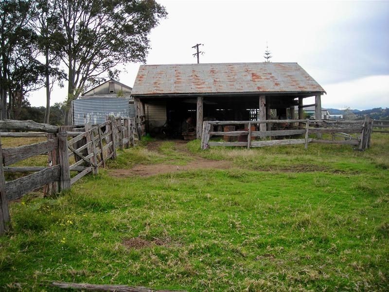Firefly NSW 2429