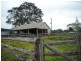 Firefly NSW 2429