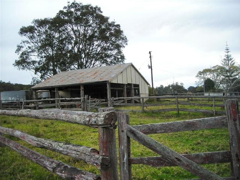 Firefly NSW 2429