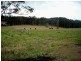 Firefly NSW 2429