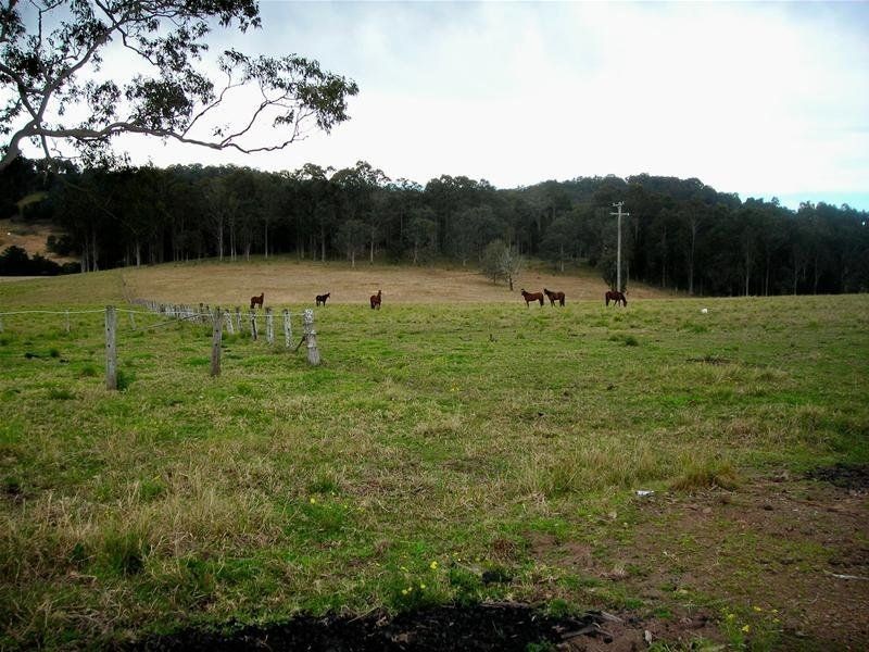 Firefly NSW 2429