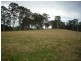 Firefly NSW 2429