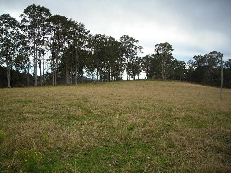 Firefly NSW 2429