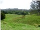 149 West Bulga Road, Elands NSW 2429