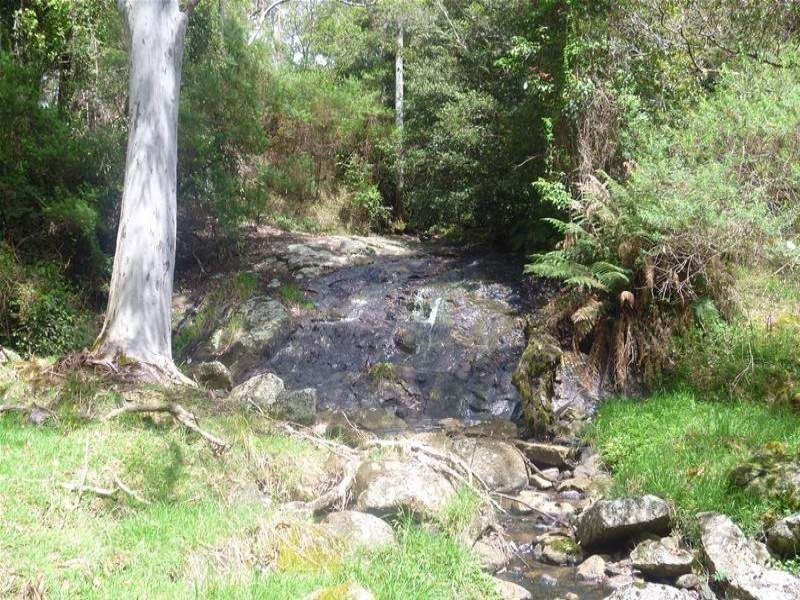 149 West Bulga Road, Elands NSW 2429