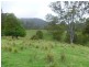 149 West Bulga Road, Elands NSW 2429