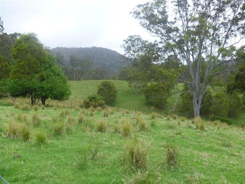 149 West Bulga Road, Elands NSW 2429