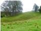 149 West Bulga Road, Elands NSW 2429