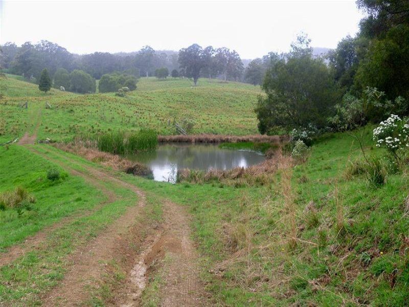 149 West Bulga Road, Elands NSW 2429