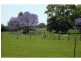 Glenthorne NSW 2430