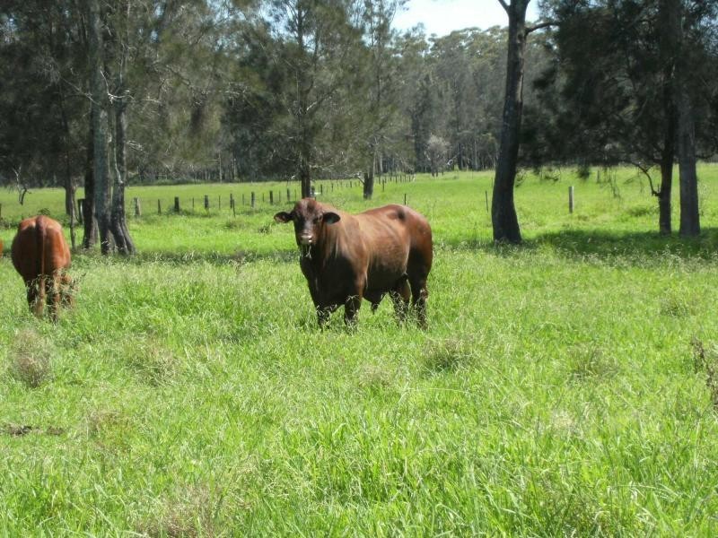 270 Willow Point Road, Forster NSW 2428