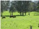 270 Willow Point Road, Forster NSW 2428
