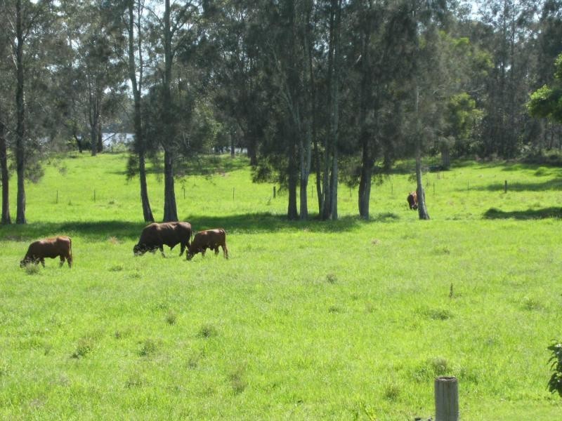 270 Willow Point Road, Forster NSW 2428