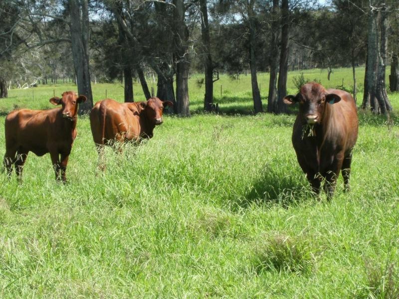 270 Willow Point Road, Forster NSW 2428