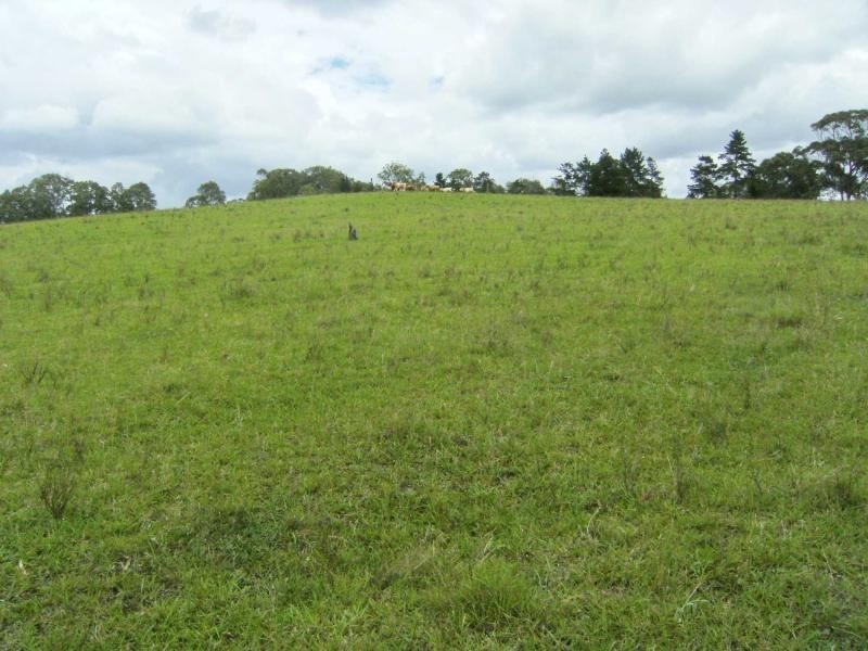 Tinonee NSW 2430