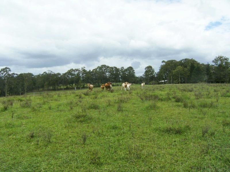 Tinonee NSW 2430