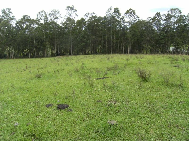 Tinonee NSW 2430