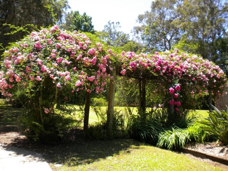 9 Fern Ridge Lane, Langley Vale NSW 2426