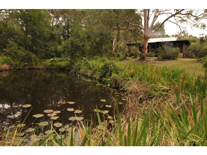 9 Fern Ridge Lane, Langley Vale NSW 2426