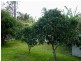 52 Main Street, Cundletown NSW 2430