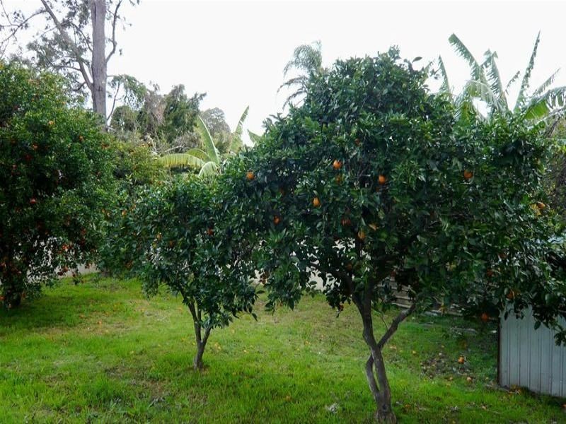 52 Main Street, Cundletown NSW 2430